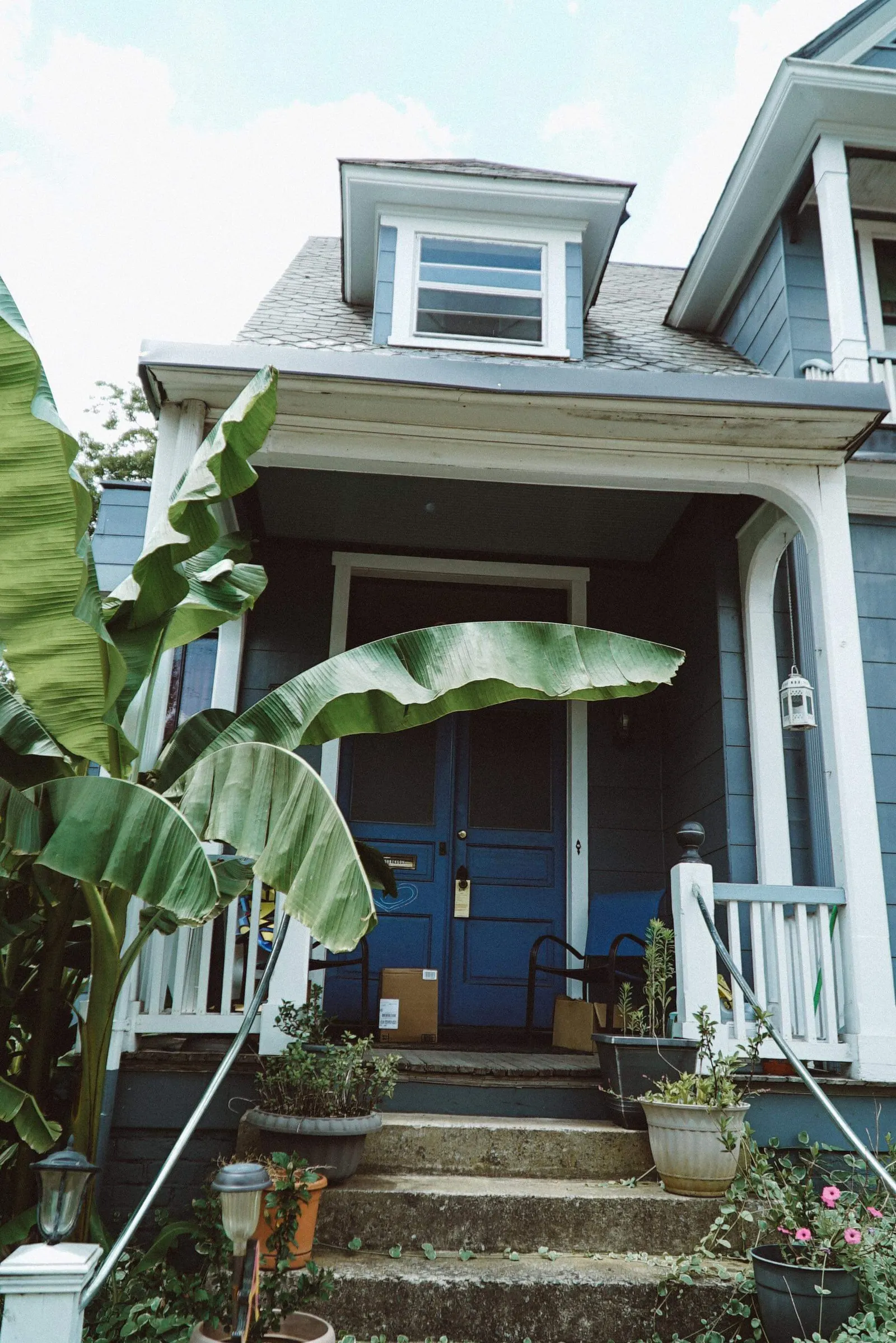 The front porch of The Clarity House with its blue door, framed by banana plants